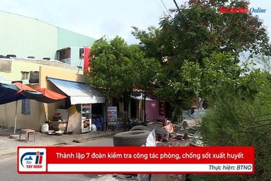 Thành lập 7 đoàn kiểm tra công tác phòng, chống sốt xuất huyết