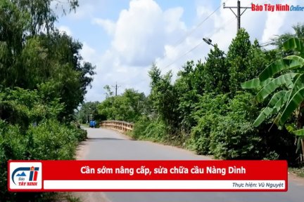 Cần sớm nâng cấp, sửa chữa cầu Nàng Dình