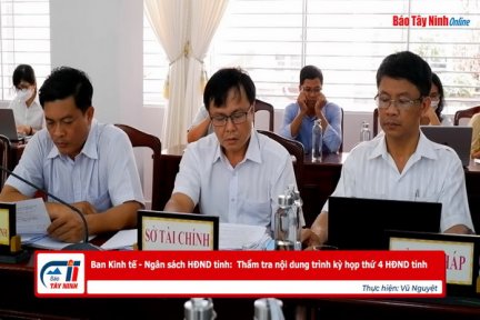 Ban Kinh tế - Ngân sách HĐND tỉnh:  Thẩm tra nội dung trình kỳ họp thứ 4 HĐND tỉnh