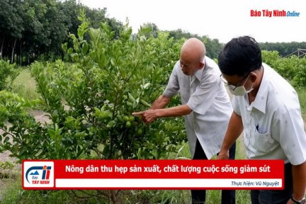 Nông dân thu hẹp sản xuất, chất lượng cuộc sống giảm sút