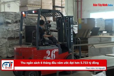 Thu ngân sách 6 tháng đầu năm ước đạt hơn 5.733 tỷ đồng