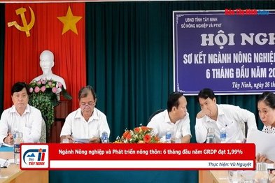 Ngành Nông nghiệp và Phát triển nông thôn: 6 tháng đầu năm GRDP đạt 1,99%