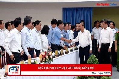 Chủ tịch nước làm việc với Tỉnh ủy Đồng Nai