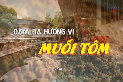 Đậm đà hương vị muối tôm-Phần 2