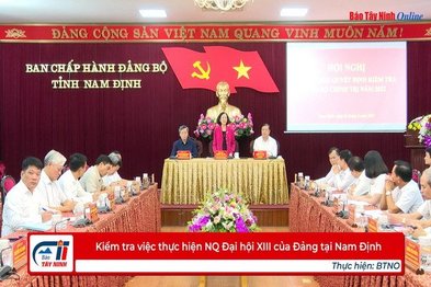 Kiểm tra việc thực hiện NQ Đại hội XIII của Đảng tại Nam Định