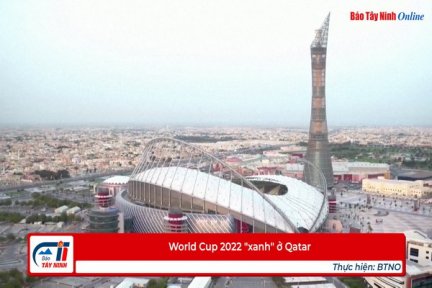 World Cup 2022 