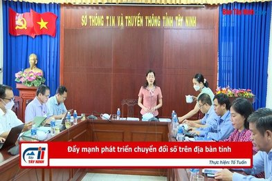 Đẩy mạnh phát triển chuyển đổi số trên địa bàn tỉnh