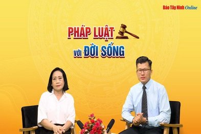 Quy định của pháp luật về quảng cáo