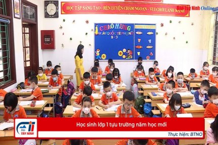 Học sinh lớp 1 tựu trường năm học mới