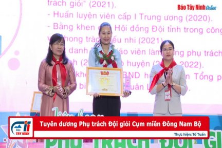 Tuyên dương Phụ trách Đội giỏi Cụm miền Đông Nam Bộ