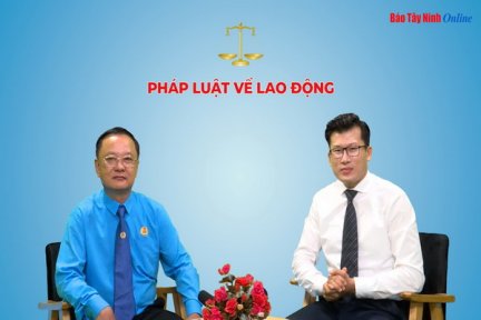 Quy định pháp luật về chế độ thai sản