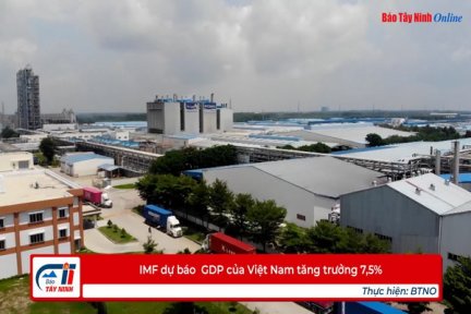 IMF dự báo  GDP của Việt Nam tăng trưởng 7,5%