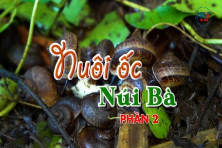 Nuôi ốc Núi Bà-Phần 2