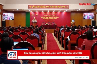 Giao ban công tác kiểm tra, giám sát 9 tháng đầu năm 2022