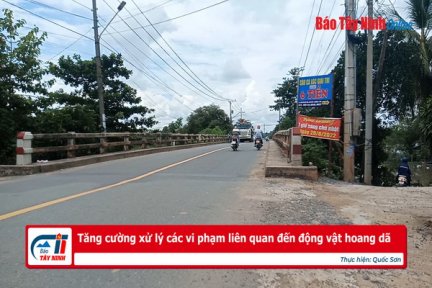 Tăng cường xử lý các vi phạm liên quan đến động vật hoang dã