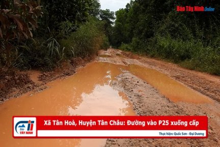 Xã Tân Hoà, huyện Tân Châu: Đường vào P25 xuống cấp