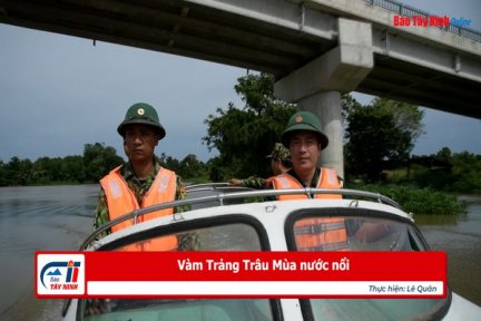 Vàm Trảng Trâu Mùa nước nổi