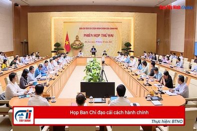 Họp Ban Chỉ đạo cải cách hành chính