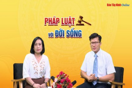 Quy định của pháp luật về bình đẳng giới