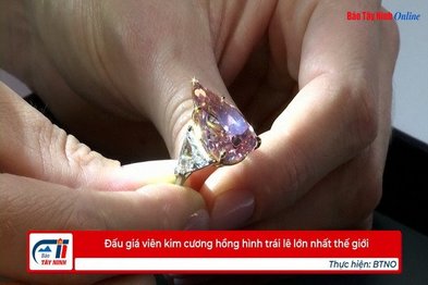 Đấu giá viên kim cương hồng hình trái lê lớn nhất thế giới