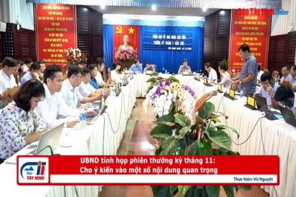 UBND tỉnh họp phiên thường kỳ tháng 11: Cho ý kiến vào một số nội dung quan trọng