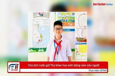 Chủ tịch nước gửi Thư khen học sinh dũng cảm cứu người