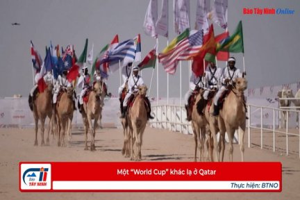 Một “World Cup” khác lạ ở Qatar