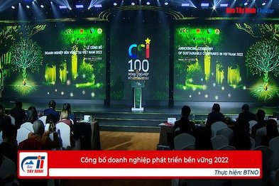 Công bố doanh nghiệp phát triển bền vững 2022