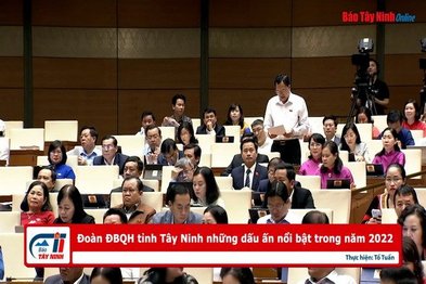 Đoàn ĐBQH tỉnh Tây Ninh những dấu ấn nổi bật trong năm 2022