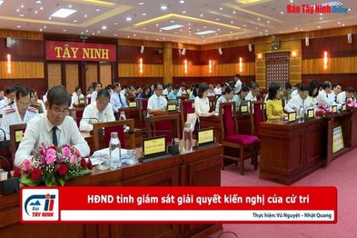 HĐND tỉnh giám sát giải quyết kiến nghị của cử tri