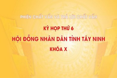 Trực tiếp Phiên Chất vấn kỳ họp thứ sáu HĐND tỉnh Tây Ninh khóa X nhiệm kỳ 2021-2026