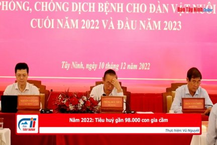 Năm 2022: Tiêu huỷ gần 98.000 con gia cầm