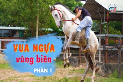 Vua ngựa vùng biên-Phần 1