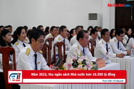 Năm 2022, thu ngân sách Nhà nước hơn 10.350 tỷ đồng