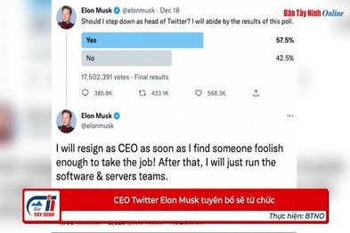 CEO Twitter Elon Musk tuyên bố sẽ từ chức