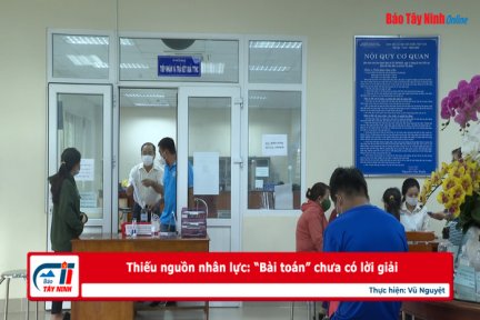 Thiếu nguồn nhân lực: “Bài toán” chưa có lời giải