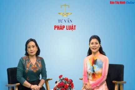 Quy định của pháp luật về sử dụng pháo