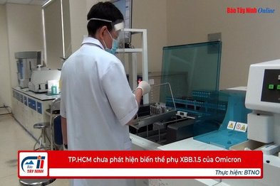 TP.HCM chưa phát hiện biến thể phụ XBB.1.5 của Omicron