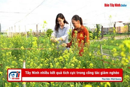 Tây Ninh nhiều kết quả tích cực trong công tác giảm nghèo