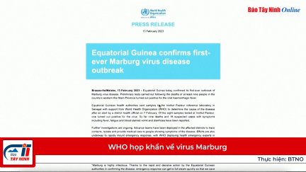 WHO họp khẩn về virus Marburg