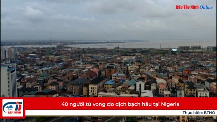 40 người tử vong do dịch bạch hầu tại Nigeria