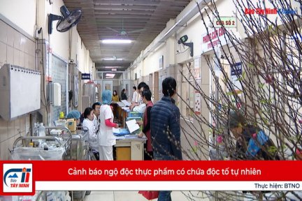 Cảnh báo ngộ độc thực phẩm có chứa độc tố tự nhiên