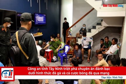 Công an tỉnh: Triệt phá đường dây đánh bạc dưới hình thức đá gà mạng và cá cược bóng đá