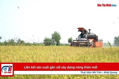 Liên kết sản xuất gắn với xây dựng nông thôn mới