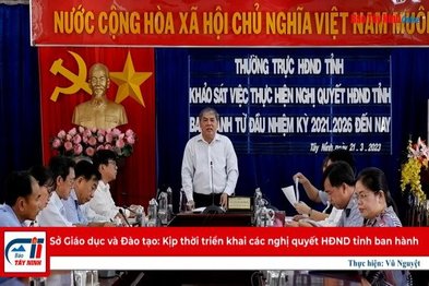 Sở Giáo dục và Đào tạo: Kịp thời triển khai các nghị quyết HĐND tỉnh ban hành