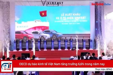 OECD dự báo kinh tế Việt Nam tăng trưởng 6,6% trong năm nay