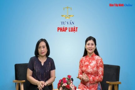 Quy định của pháp luật về bảo vệ môi trường