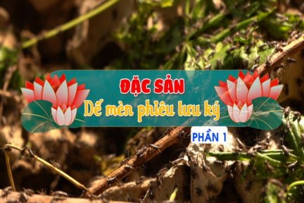 Đặc sản dế mèn phiêu lưu ký-Phần 1