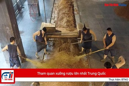 Tham quan xưởng rượu lớn nhất Trung Quốc