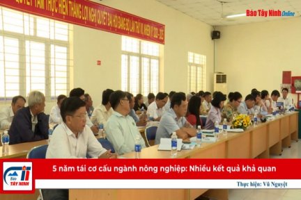 5 năm tái cơ cấu ngành nông nghiệp: Nhiều kết quả khả quan